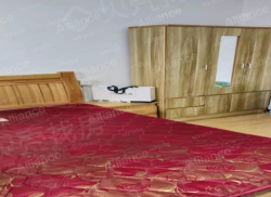 整租·朝阳里小区 1室1厅 南_朝阳里小区租房