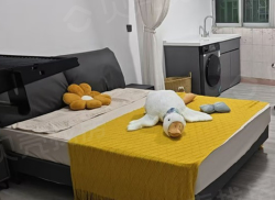 整租·锦峰苑 2室2厅 南_锦峰苑租房