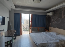 整租·宝龙城市广场 1室1厅 南/北_宝龙城市广场租房