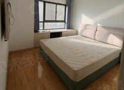 整租·荣城国际 2室1厅 南_荣城国际租房