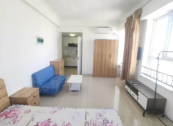 整租·宝地铂金公寓 1室0厅 南_宝地铂金公寓租房