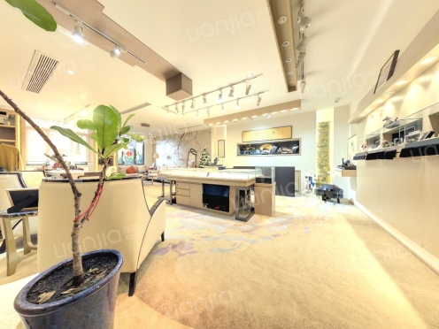 整租·仁恒PARK 1室1厅 西