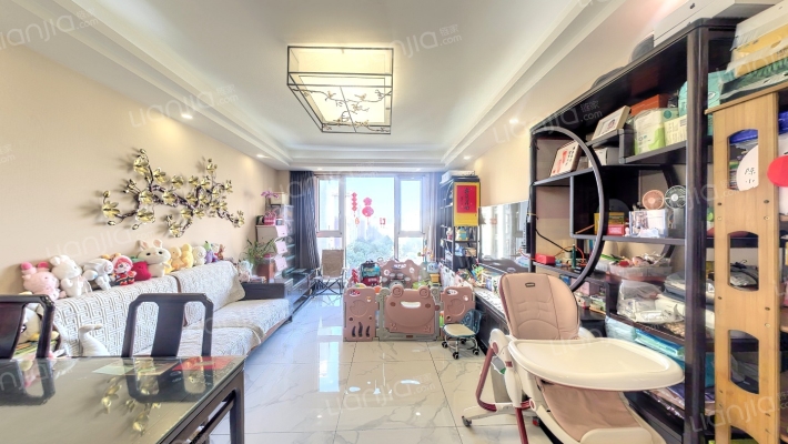 新湖菲林二手房实景图