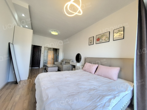 整租·巴黎公舍 1室0厅 西南