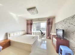 整租·紫金江尚 1室0厅 南_紫金江尚租房