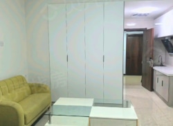 整租·天都嘉成公寓楼 1室1厅 南_天都嘉成公寓楼租房