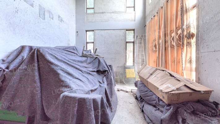 金地公园上城荔湖墅二手房实景图