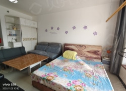 整租·蔚湖城 1室1厅 南_蔚湖城租房