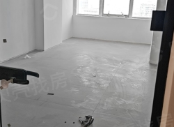 整租·嘉业国贸广场 1室0厅 北_嘉业国贸广场租房