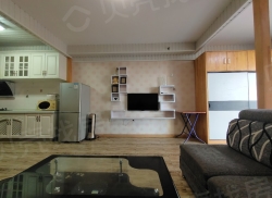 整租·华业广场 1室1厅 南/北_华业广场租房