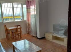 整租·黎郡新宇太和园 1室1厅 南_黎郡新宇太和园租房