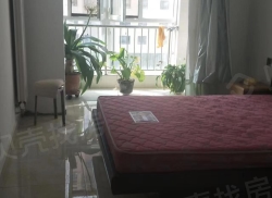 整租·欣欣家园 2室2厅 南/北_欣欣家园租房