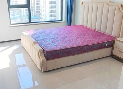 整租·通辽桃花源 2室1厅 南/北_通辽桃花源租房