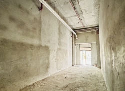 整租·恒大·养生谷 1室1厅 东北_恒大·养生谷租房