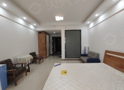 整租·金鑫未来港 1室1厅 南_金鑫未来港租房