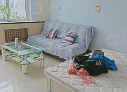 整租·承钢果山小区 2室1厅 南_承钢果山小区租房