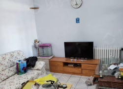 整租·体坛小区 3室2厅 南/北_体坛小区租房