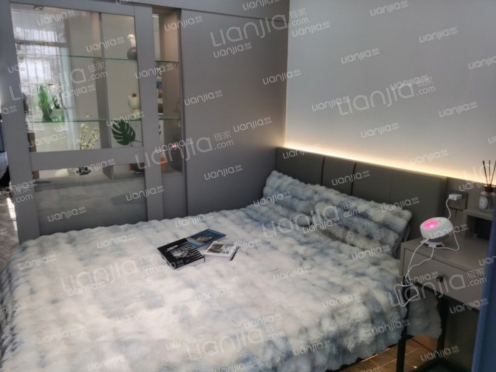 整租·新光里二街 1室0厅 东北