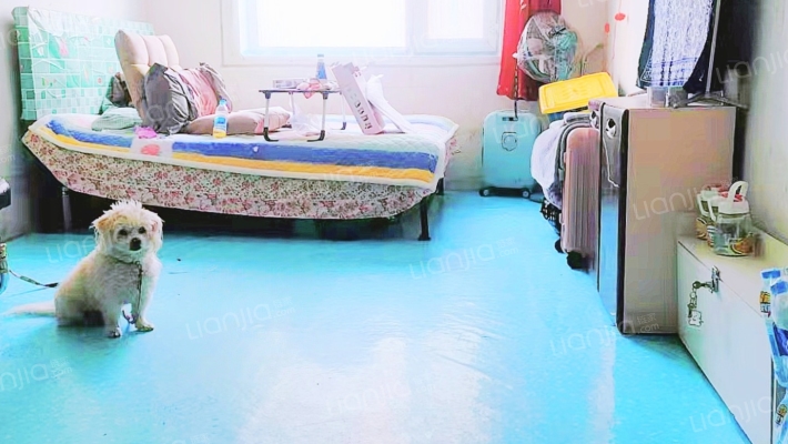 金昌国际二手房实景图