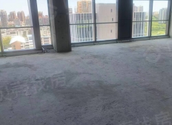 整租·中粮·三亚大悦中心 1室0厅 南_中粮·三亚大悦中心租房