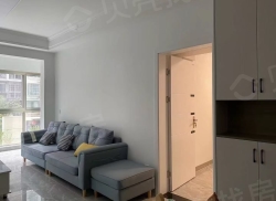 整租·兆信中心 3室2厅 南_兆信中心租房