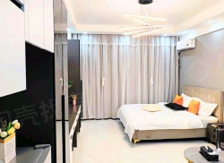 整租·中启·中央广场 1室1厅 南_中启·中央广场租房