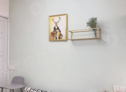 整租·圣地亚哥公寓楼 1室1厅 南_圣地亚哥公寓楼租房