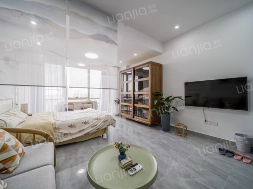 整租·金匙望湖 1室1厅 北