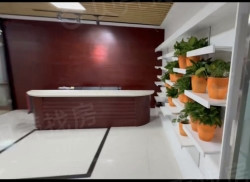 整租·万达中心 1室1厅 东_万达中心租房