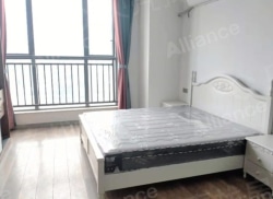 整租·宏大广场 1室1厅 南_宏大广场租房