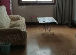 整租·家电厂家属院 2室1厅 南/北_家电厂家属院租房