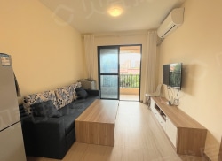 整租·碧桂园珊瑚宫殿·海蓝天 2室1厅 南_碧桂园珊瑚宫殿·海蓝天租房