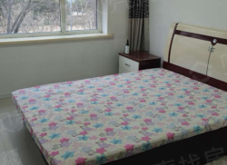 整租·滨河花园 2室1厅 南_滨河花园租房