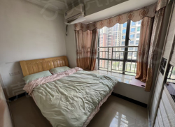 整租·优信中心 1室1厅 北_优信中心租房