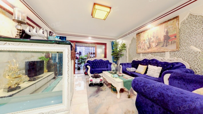 中洲华府二手房实景图