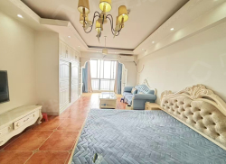 整租·步行街大厦 1室1厅 南/北_步行街大厦租房