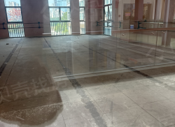 整租·格力广场商业街 1室0厅 东_格力广场商业街租房