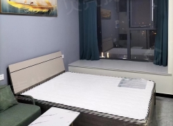 整租·建业壹号城邦(西区) 1室1厅 南/北_建业壹号城邦(西区)租房