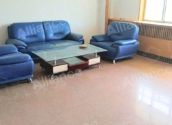 整租·金岁小区 1室1厅 南/北_金岁小区租房