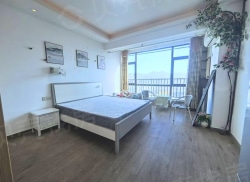 整租·长虹金域中央 1室0厅 南_长虹金域中央租房