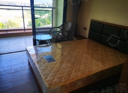 整租·中州国际 1室0厅 东南_中州国际租房