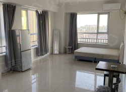 整租·宝地铂金公寓 1室1厅 南_宝地铂金公寓租房