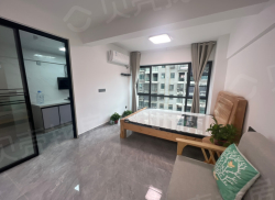 整租·白马湖公馆 1室1厅 南_白马湖公馆租房