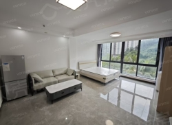 整租·公园湖畔 1室0厅 南_公园湖畔租房