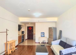 整租·三迪国际公寓 1室1厅 南_三迪国际公寓租房