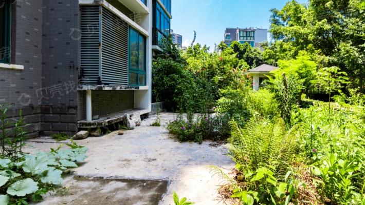 上海花园一楼带80平米大花园满五年看房方便-花园