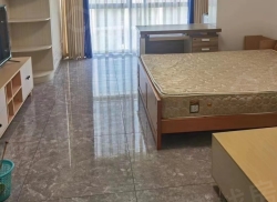 整租·高新明珠 1室1厅 南/北_高新明珠租房