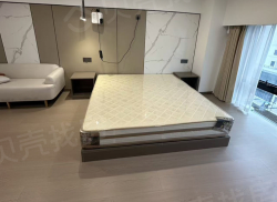 整租·东方世贸家居生活广场 1室1厅 南_东方世贸家居生活广场租房