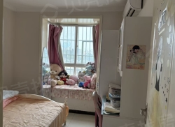 整租·紫轩小区 2室1厅 南/北_紫轩小区租房