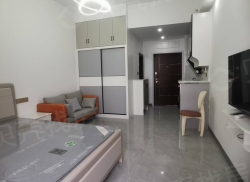 整租·金辉中央铭著A区 1室1厅 南_金辉中央铭著A区租房